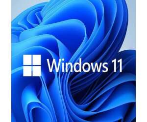 Windows 11 Profesional OEM