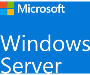 Pack 5 Licencias Cal Windows 2022 Server Dispositivo