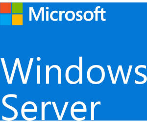 Microsoft Windows Server 2022  Std CAL Us OEM pk5