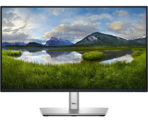 Monitor Dell 22" P2225h Led