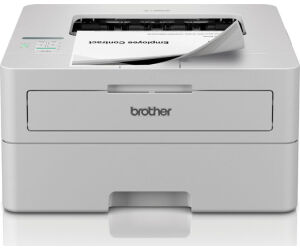 Impresora Brother Hll2865dw B/n Laser