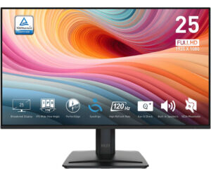 Monitor Msi Pro Mp251 E2