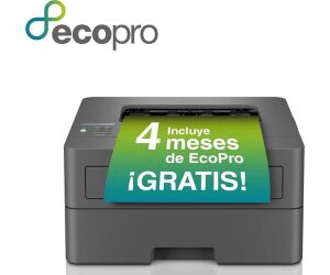 Impresora Brother Hll2400dwe Laser Duplex Wifi