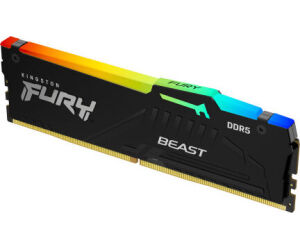 Kingston Technology FURY Beast RGB mÃ³dulo de memoria 16 GB 1 x 16 GB DDR5 ECC