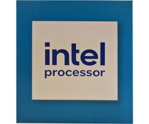 Intel 300 Dual Core Box