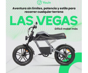 Youin E-bike Urban Style Fat