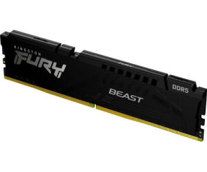 Kingston Technology FURY Beast mÃ³dulo de memoria 16 GB 1 x 16 GB DDR5