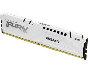 Kingston Technology FURY Beast mÃ³dulo de memoria 16 GB 1 x 16 GB DDR5