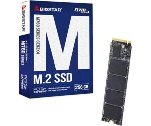 Disco duro interno ssd biostar m760 256gb m.2 pci express 4.0