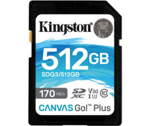 Secure Digital Hc 512 Gb Canvas Go Plus Clase10 Kingston