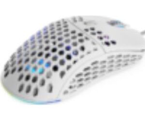 Raton Optico Endorfy Liv Onyx Wireless