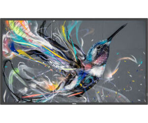 Monitor Philips 65" Q-line / Panel Ips D-led 16:9 / 3840x2160 400cd/m2 / 9ms / Pixel Pitch 0.372x0.372 / Vesa 400x400/m8 / Soc Ms - 92q / Uso Landscape / Portrait 18/7 / Ops No / Wifi No / 1xrj45 (65bdl3511q/00)