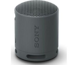 Altavoz Portable con Bluetooth Sony XB100/ 2.0/ Negro