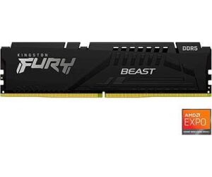Kingston Technology FURY Beast mÃ³dulo de memoria 8 GB 1 x 8 GB DDR5 6000 MHz
