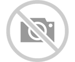 Epson Cartucho T2982 Cyan