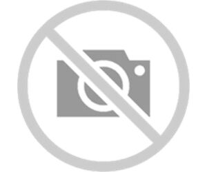 Cartucho ricoh garment magenta 257065 type 1 baja capacidad para ri100