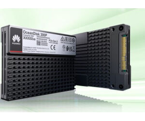 HUAWEI SSD INTERNO Oceandisk 300P ES3500P V6 STLZW2NVME7680 7.68TB SSD NVMe Disk Unit(2.5),sectorsize-512,V120-YX2e,MTC,BJ,HSSD