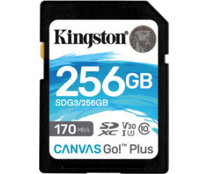 Secure Digital Hc 256 Gb Canvas Go Plus Clase10 Kingston