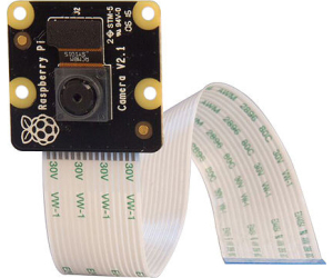 Raspberry Pi PiNoir Camera Module V2.1 CÃ¡mara Multicolor