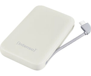 Intenso PowerBank S10000 10000 mAh Beige
