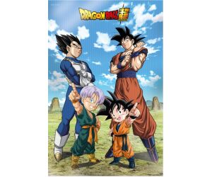 Poster 3d 58x38cm battle of gods goku vegeta family dragon ball super