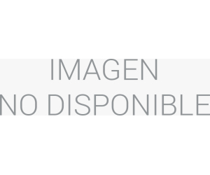 Cargador Portatil Eightt Especifico Compatible Sony 19v-4,74a 90w 6,5*4,4