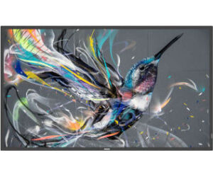 Monitor Philips 50" Q-line / Panel Va D-led 16:9 / 3840x2160 400cd/m2 / 8ms / Pixel Pitch 0.285x0.285 / Vesa 400x400/m6 / Soc Ms - 92q / Uso Landscape / Portrait 18/7 / Ops No / Wifi No / 1xrj45 (50bdl3511q/00)