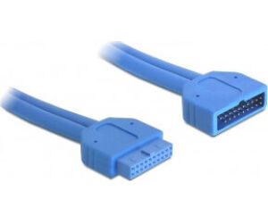 DeLOCK 82943 cable USB 0,45 m USB 3.2 Gen 1 (3.1 Gen 1) Azul