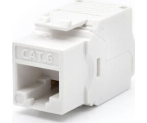 WP WPC-KEY-6UP-TL/W conector RJ45 Blanco