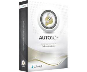 Programa de gestion integral de talleres de coches monopuesto solinsur licencia electronica