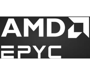 Amd Epyc 9555