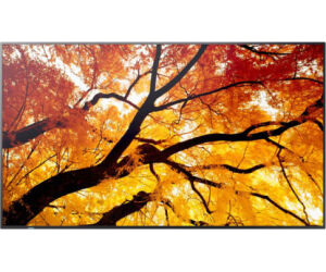 Sharp MultiSync M982 Panel plano interactivo 2,48 m (97.5") LED 550 cd / m² 4K Ultra HD Negro 24/7