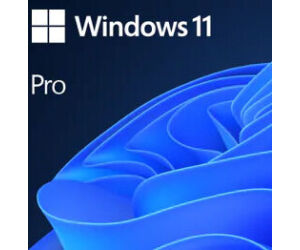 Microsoft Windows 11 Pro 64b  ESD