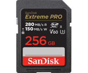 SanDisk SDSDXEP-256G-GN4IN memoria flash 256 GB SDXC UHS-II Clase 10