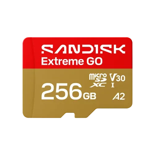 SanDisk Extreme GO 256 GB MicroSDXC UHS-I