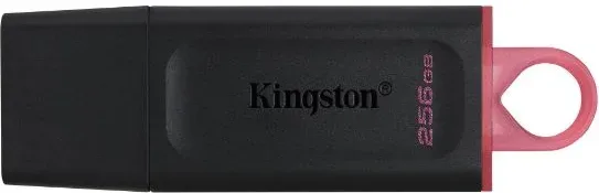 Kingston Technology DataTraveler Exodia unidad flash USB 256 GB USB tipo A 3.2 Gen 1 (3.1 Gen 1) Negro