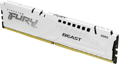 Kingston Technology FURY Beast módulo de memoria 16 GB 1 x 16 GB DDR5
