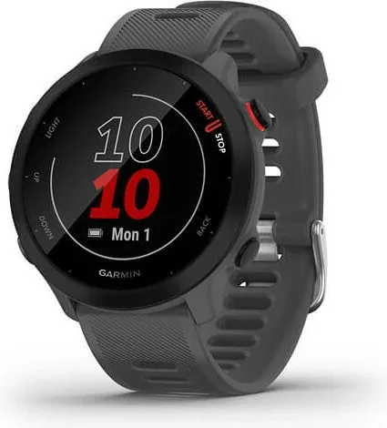 Smartwatch Garmin Forerunner 55 GPS Grey