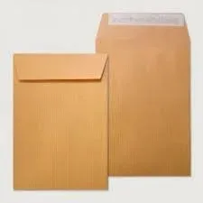 Caja 250 Bolsas Din C5 (162X229) Kraft 80 Grs. Autosam Autoadhesivo con Tira de Silicona Sam 141507