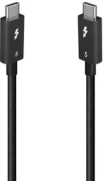 Lindy 31130 cable Thunderbolt 1 m 80 Gbit/s Negro