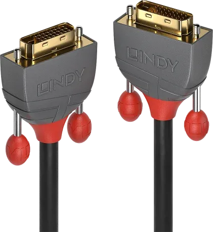 Lindy 36221 cable DVI 1 m DVI-D Negro