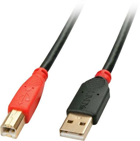 Lindy 42761 cable USB USB 2.0 10 m USB A USB B Negro, Rojo