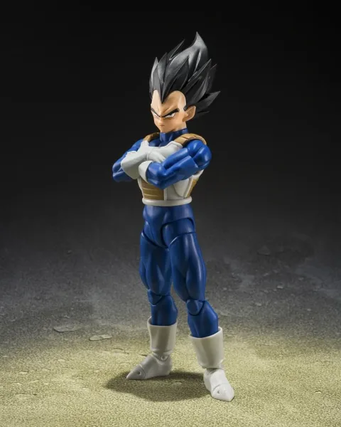 Vegeta z fighters