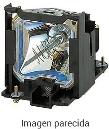 Benq Proyector Accesorios  (5J.jnl05.001) Lamp Module Tk70
