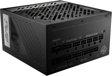 MSI MPG A1000G PCIE5 unidad de fuente de alimentación 1000 W 20+4 pin ATX ATX Negro