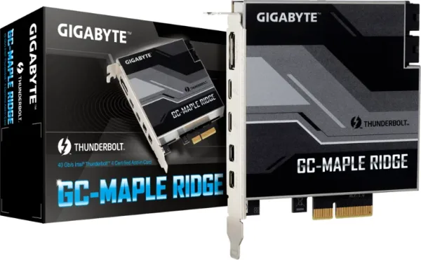 MAPLE RIDGE GIGABYTE