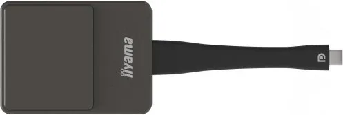 iiyama WP D002C adaptador Smart TV USB 4K Ultra HD Negro, Plata