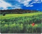 Alfombrilla Natec Photo Italia 220X180 Mm