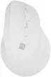 Raton Natec Crake 2 Vertical Diestro Dual 2400 Dpi Blanco Bluetooth Pilas