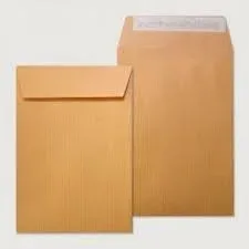 Caja 1000 Bolsas Salarios (100X145) Kraft 70 Grs. Autosam Autoadhesivo con Tira de Silicona Sam 140700